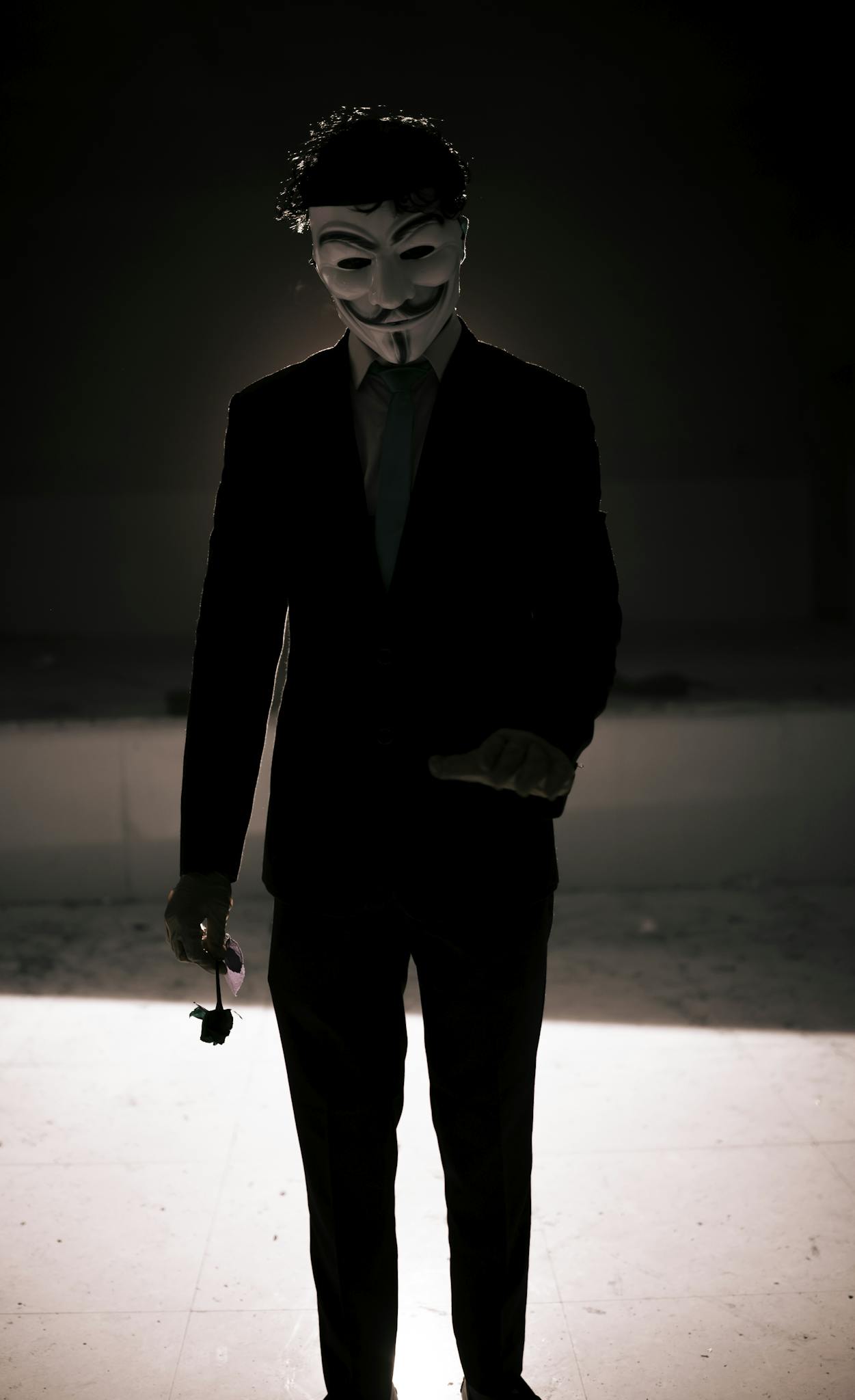 Silhouette of a person in a suit wearing an anonymous mask, standing in dim lighting holding a rose.